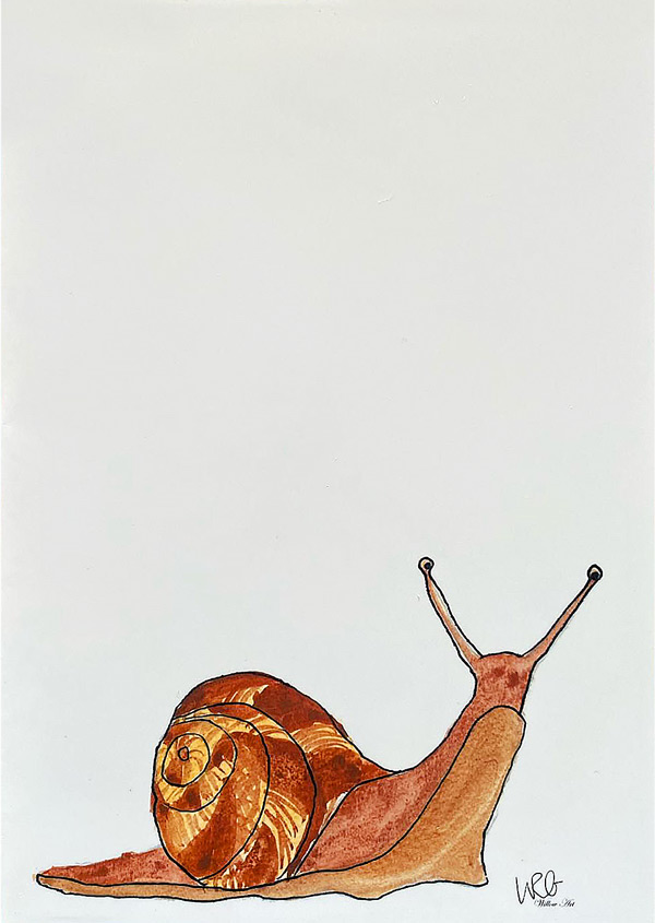 willowart-snail